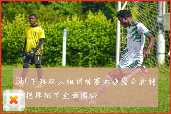 BLG下路双人组训练赛加速磨合新辅助指挥细节全面揭秘