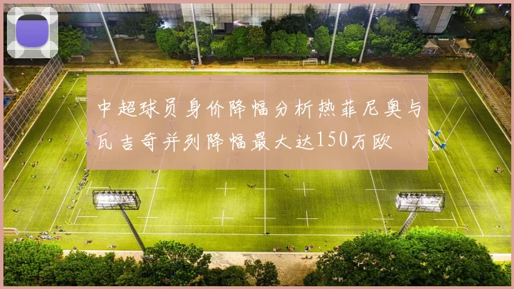 中超球员身价降幅分析热菲尼奥与瓦吉奇并列降幅最大达150万欧