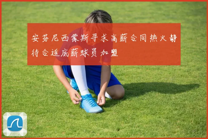 安芬尼西蒙斯寻求高薪合同热火静待合适底薪球员加盟