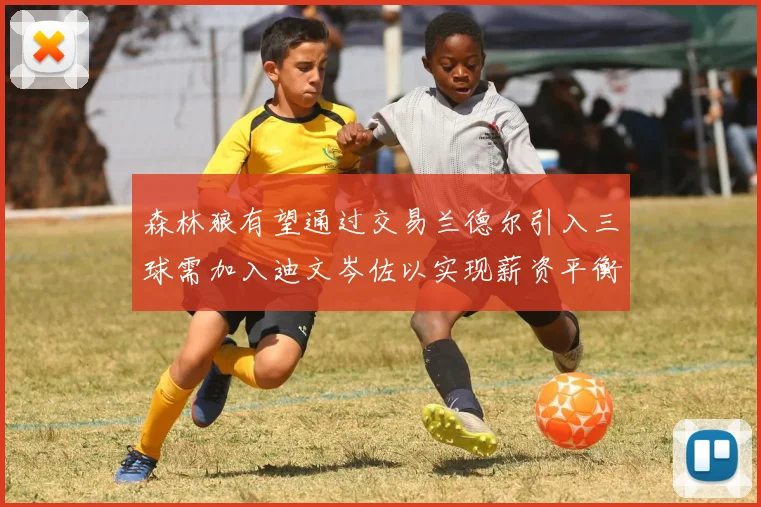 森林狼有望通过交易兰德尔引入三球需加入迪文岑佐以实现薪资平衡