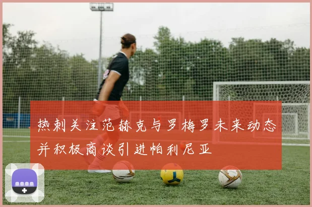 热刺关注范赫克与罗梅罗未来动态并积极商谈引进帕利尼亚