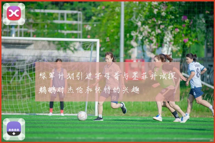 绿军计划引进字母哥与墨菲并试探鹈鹕对杰伦和怀特的兴趣
